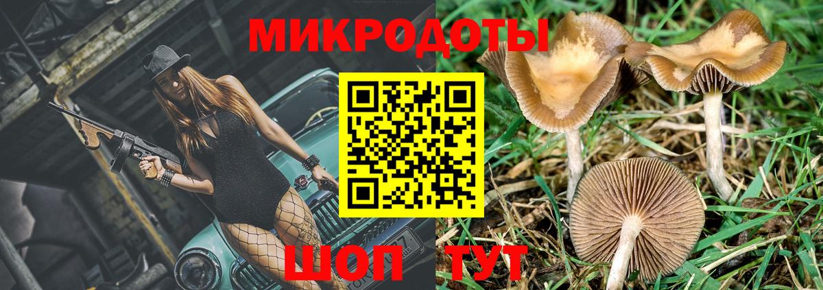 Зеленогорск  Галлюциногенные грибы Magic Shrooms  Вход с VPN  Галлюциногенные грибы Magic Shrooms 